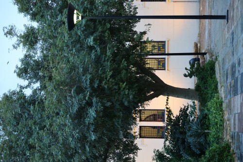 A large tree next to a building with a white facade and windows featuring black and yellow stained glass. In the foreground, a street lamp is visible next to a stone pathway. There are some shrubs and green plants under the tree and by the building.