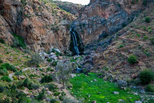 An image showing waterfalls cascading from rocky cliffs in a mountainous valley, surrounded by scattered green vegetation and small trees. The rocks appear rugged with varying shades of brown and gray. Grass and green plants grow densely around the waterfall area.