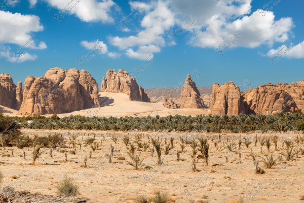 An image showing a desert landscape with massive rock formations in the background under a blue sky with scattered clouds. The scene features an oasis of green palm trees, surrounded by barren land and sandy areas.