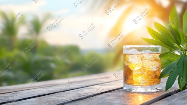 A glass cup filled with a cold drink and ice cubes, placed on a wooden table outdoors. The scene is under bright sunlight with a blurred background of green plants and palm trees, adding to the tropical and refreshing ambiance.