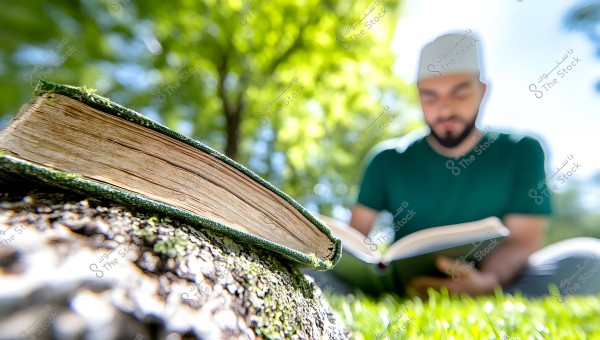 An image showing a large book in focus, placed on a moss-covered tree trunk, while in the background, a person wearing a green shirt and a white cap is sitting on the grass in a park reading a book. The background is blurred, displaying bright green foliage.
