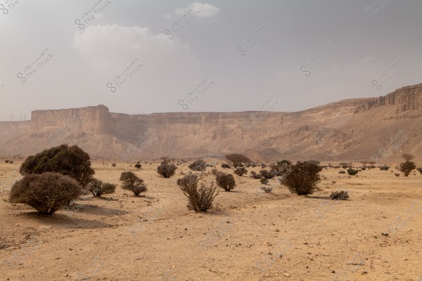 A desert landscape with arid terrain and high rock plateaus in the background. Sparse dry shrubs are scattered across the sandy ground, and the sky is partly cloudy.