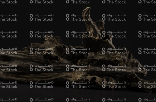 صورة مقربة لقطع عود فاخرة على خلفية داكنة