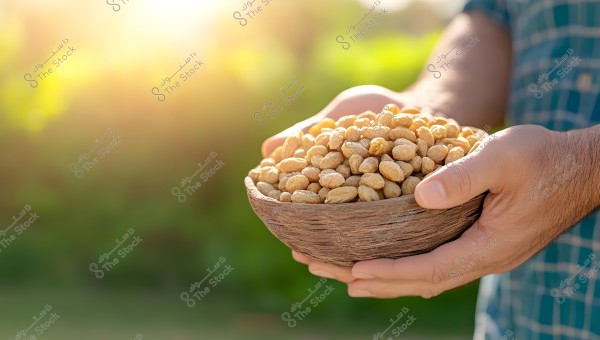 The image shows a pair of hands holding a wooden bowl filled with peanuts or legumes. The background is blurred with bright sunlight and a natural green setting.