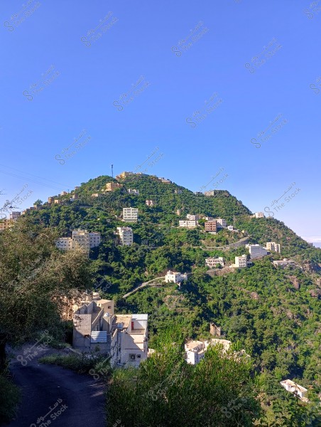 A scenic landscape of a mountainous village covered with greenery and dense trees. White buildings and houses are scattered across the hillsides, interspersed with narrow, winding roads. The sky is clear and blue, enhancing the beauty of the natural scenery.
