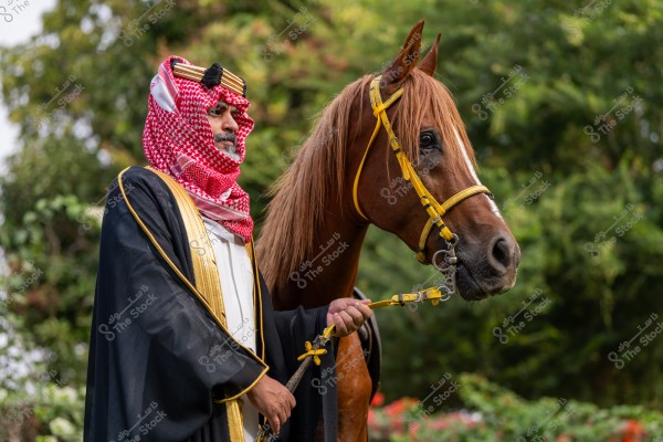 A portrait of a man wearing traditional Gulf attire in black with golden trim, a red and white keffiyeh with a black agal. He stands next to a brown horse with a yellow bridle, set against a background of green trees.