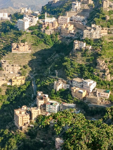 Image of a mountainous town in Saudi Arabia, featuring a variety of buildings of different shapes and heights spread across green mountain slopes. Some buildings are adjacent while others are separated by trees and plants. A mosque with prominent white minarets is visible, along with narrow winding roads between the buildings.