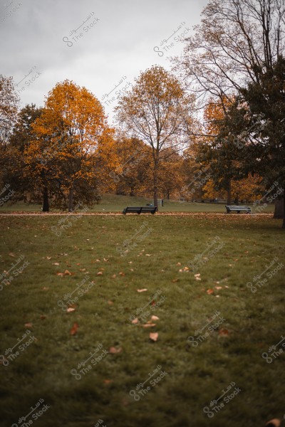 A scenic view of a park in autumn with trees having yellow and orange leaves and a wooden bench.