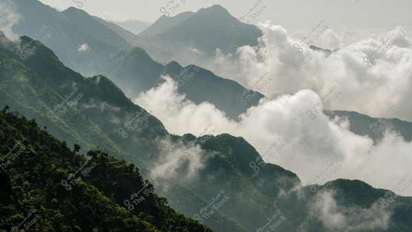 A scenic view of the Aswad Mountain range in southern Saudi Arabia, covered with dense green vegetation, with thick white clouds scattered on the horizon. The mountain peaks appear in various colors under the influence of natural light, giving the scene a captivating beauty and a sense of tranquility.
