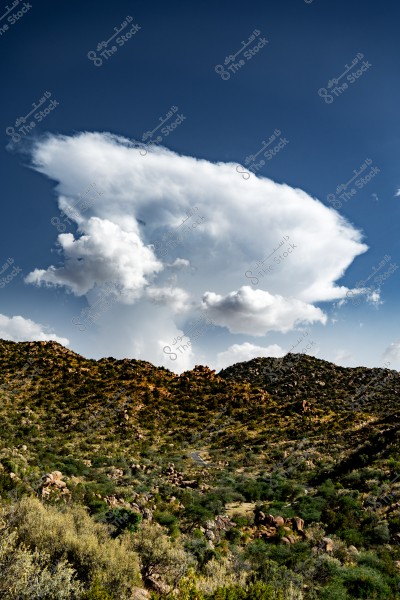 A landscape featuring lush green and brown hills with a winding road between them. Above the hills, there is a large white cloud formation against a clear blue sky.