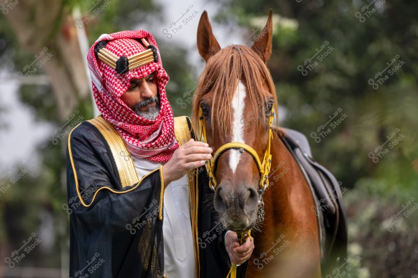 An image of a man wearing traditional Saudi attire with a red-checkered headscarf and agal, standing next to a brown horse with a yellow bridle. The background shows blurry green foliage.