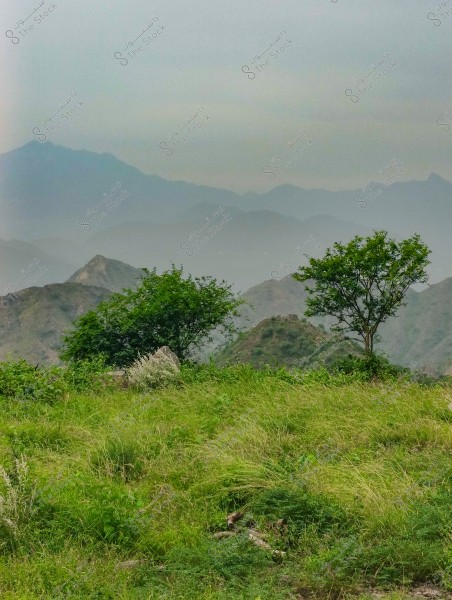 A natural landscape showing hills covered in greenery, with scattered trees in the foreground. Mountain ranges stretch into the background with varied shades under a cloudy sky, creating a peaceful and enchanting scene.