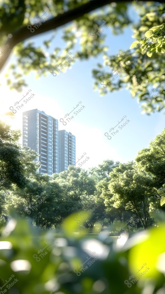 Modern skyscrapers visible through a dense forest on a sunny day, with light reflecting off the green trees and distant buildings, creating a serene scene that merges nature and architecture.