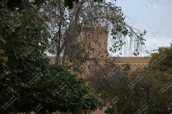 The image shows an old mud brick tower behind a cluster of scattered trees. The tower appears to be in a historical location, with the sky partly cloudy.