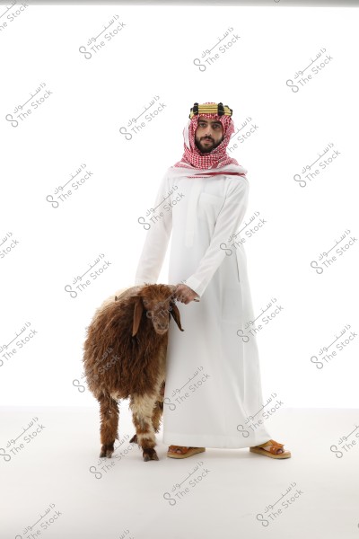 Image of a man wearing traditional Gulf attire, a white robe with a red checkered headscarf and black agal, standing next to a brown sheep with thick wool. The background is plain white.