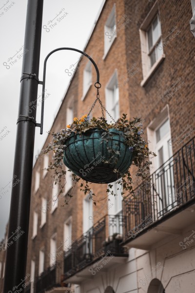 An image of a hanging planter with colorful plants and flowers, attached to a lamp post beside a brick residential building with iron balconies.