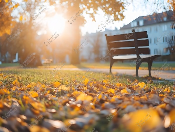 An image of a wooden bench in a public park during autumn. Yellow and brown leaves are scattered on the ground, while the sun shines brightly in the background, casting a warm glow over the scene. Trees and residential buildings appear blurred in the background.