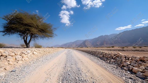 An unpaved road stretches into the distance, surrounded by scattered rocks on both sides. A large tree stands on the left under a clear blue sky with a few scattered clouds, while low rocky mountains are visible in the background.