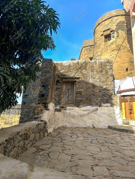 A view of an old stone and mud building with a circular tower, surrounded by decorative walls and lush green plants around the sides. The clear blue sky highlights the traditional architectural details of the building.
