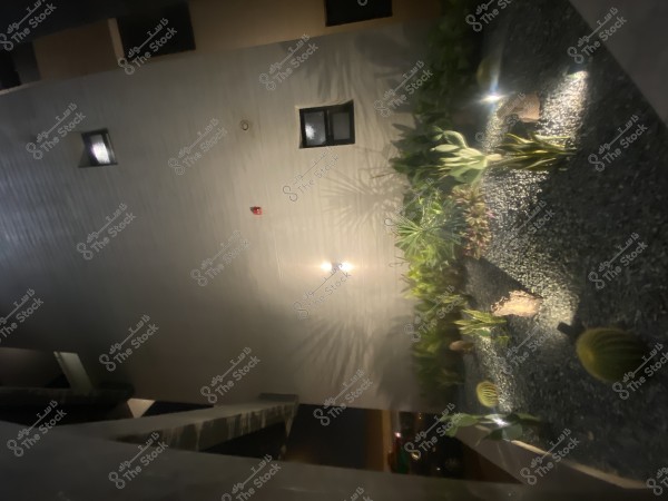 Image showing a small garden lit at night, featuring green plants and cacti planted in soil covered with dark gravel. There is subtle lighting highlighting some plants and a tall wall in the background with small windows.