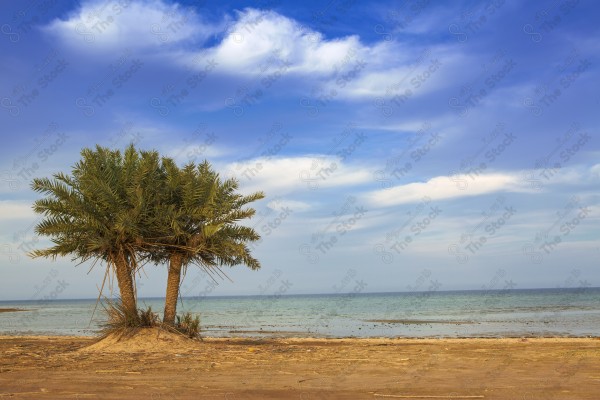 لقطة لشاطئ العقير بمدينة الاحساء والسماء تظهر ملبدة بالغيوم، معالم سياحيه في السعودي