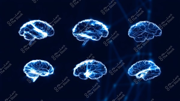 An image showing six 3D models of bright blue brains on a dark blue background. The composition highlights glowing neural lines, showcasing the brain\'s structure and details in a futuristic or digital scene.