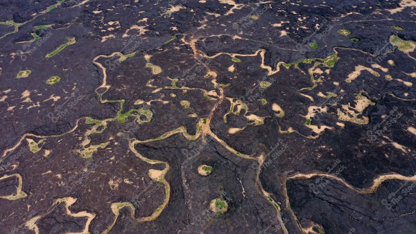 Aerial view of a landscape featuring dark rock flows winding irregularly across the area, interspersed with green patches of vegetation scattered throughout. The scene suggests geological diversity and complex terrain.