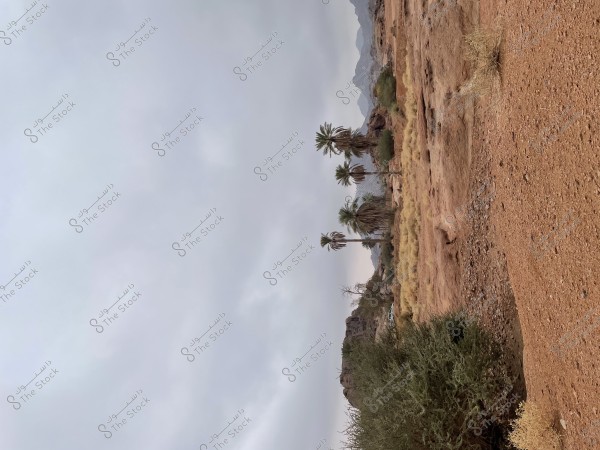 الحياة البريه