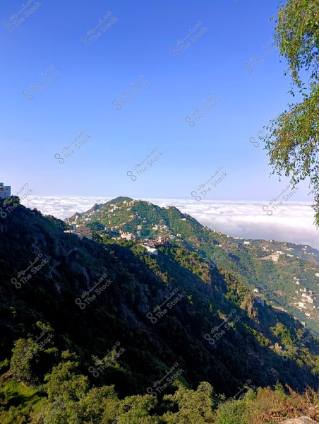 تظهر الصورة منظرًا طبيعيًا لجبل مغطى بالخضرة, مع مبانٍ متفرقة موزعة على التلال. في الخلفية, تظهر السحب البيضاء كثيفة فوق الوادي تحت السماء الزرقاء الصافية. يتدلى فرع شجرة خضراء من الزاوية اليمنى العليا.