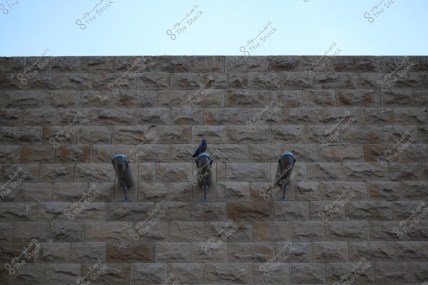 The image shows a light brown stone wall made of rectangular, stacked blocks. Three metallic protruding lights are arranged horizontally on the wall. A pigeon is perched on the middle light, and the background features a clear blue sky.