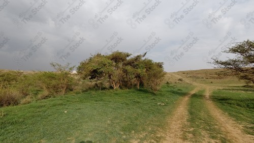 السماء و الغيوم المتفرقة تظهر فيها المباني والمعالم على مدينة أبها في المملكة العربية السعودية.