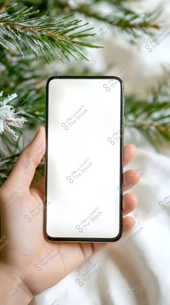 Image of a hand holding a smartphone with a blank white screen, set against a background of green branches covered in snow, creating a wintery and festive feel.