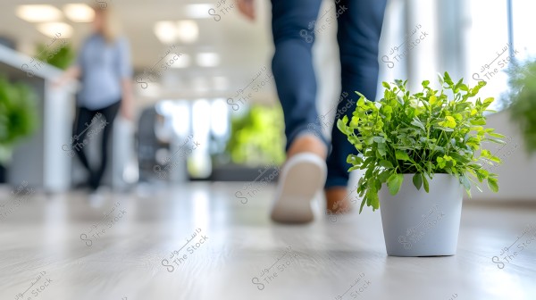A green plant in a small pot is positioned in the foreground on a light wooden floor. In the background, a blurred individual wearing jeans and white sneakers walks through a well-lit office space. The scene includes other plants in the background and conveys a calm working environment.
