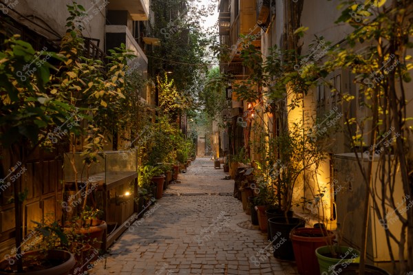A narrow outdoor alley decorated with lush green flowering plants in flower pots along both sides. Warm lights shine from the sides, creating a serene and inviting atmosphere. Multi-story buildings surround the alley and are covered with climbing plants, giving an impression of a natural and relaxing environment.