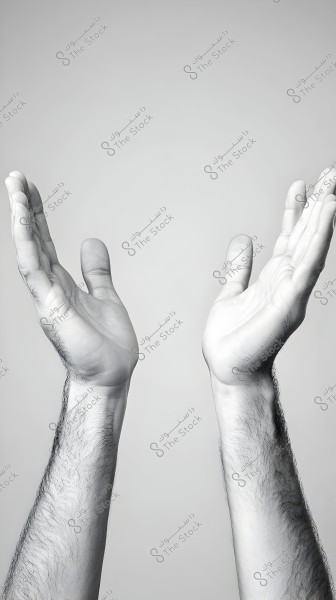 An image showing two hands raised and open towards the sky with palms facing upwards. The hands display detailed skin and arm hair. The background is plain white.