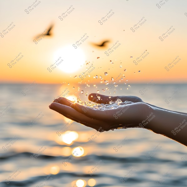 An image of hands raised towards the setting sun against an ocean backdrop. Water droplets are falling from the hands, reflecting the golden light from the sun on both the droplets and the water surface. Birds are seen flying in the background, adding a sense of peace and serenity to the scene.