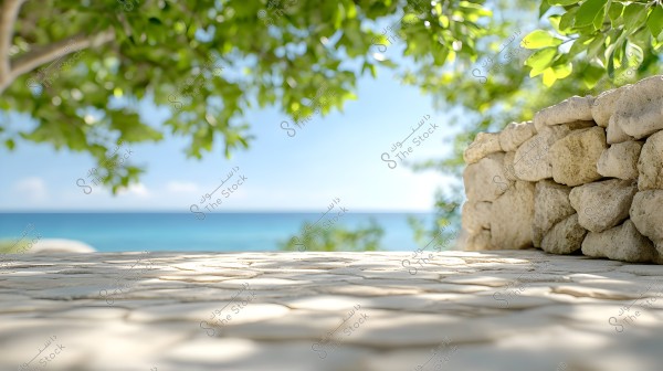 A scenic view of a beach on a sunny day. In the foreground, a tiled stone surface and the shade from lush green trees are visible. In the background, a blue sea extends to the horizon, under a clear sky with a few light clouds.
