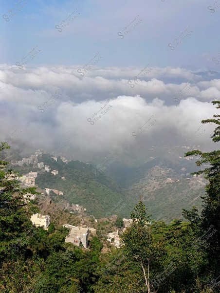 من محافظة فيفاء بمنطقة جازان جنوب المملكة العربية السعودية