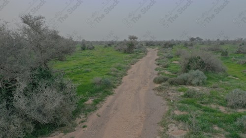 لقطة جمالية لطبيعة روضة التنهات بالرياض اثناء الغروب بالمملكة العربية السعودية ، أماكن سياحية في السعودية، السماء تبدوا غائمة نهارًا.