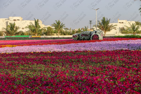 فعاليات مهرجان الزهور، حديقة المناسبات بمدينة ينبع الصناعية، معارض ومهرجانات طبيعية سياحية في المملكة العربية السعودية، الحفاظ على البيئة والتنمية المستدامة، وجهه عائلية ثقافية وترفيهية