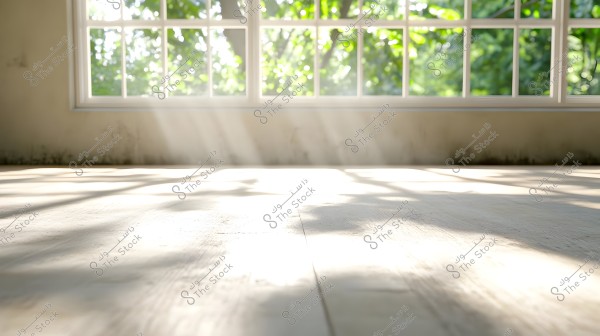Image shows a bright room with a wooden floor and natural light streaming through a large window. Sunlight filters through the window, creating beautiful shadows on the floor. The large window reveals green trees outside.