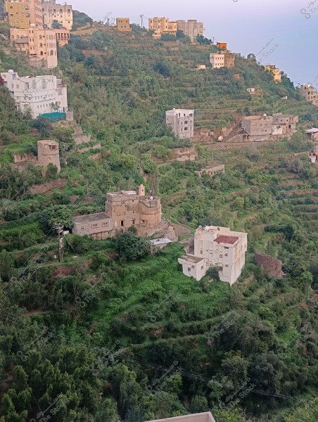 تظهر الصورة منظرًا طبيعيًا من محافظة فيفاء بمنطقة جازان جنوب المملكة العربية السعودية لمجموعة منازل مبنية على سفوح الجبال الخضراء في منطقة جبلية. البيوت موزعة على مدرجات زراعية, وتحيط بها نباتات وأشجار كثيفة. يمكن رؤية مبانٍ مختلفة الأحجام والتصاميم, بعضها ذو ألوان فاتحة, مما يضفي تباينًا جميلًا مع الخضرة المحيطة.