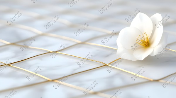 A beautiful white flower set against a delicate grid of thin golden wires. The background is a soft light gray marble, highlighting the flower\'s elegance and simplicity of the design.
