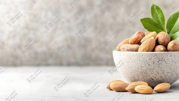 The image shows a stone bowl filled with unshelled almonds, with a few almonds placed beside it on a light grey surface. There are also some green leaves next to the almonds in the bowl. The background is blurred and grey, highlighting the details of the almonds and the bowl.