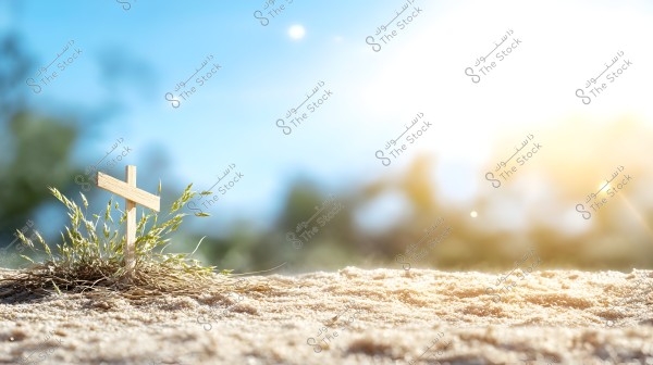 Image showing a small wooden cross planted in the sand beside some green grass, with a blurry natural background and bright sun glare on the right side of the image and blue sky above.