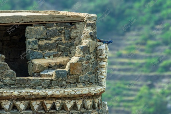 Image of a section of a traditional stone building featuring a wall constructed from natural-colored stones. A blue lizard is perched on the edge of the wall, with greenery visible in the background, indicating a natural setting.