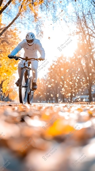 A bicyclist in motion along a path covered with falling autumn leaves, wearing white sports attire and a helmet, surrounded by yellow and orange trees under bright sunlight.