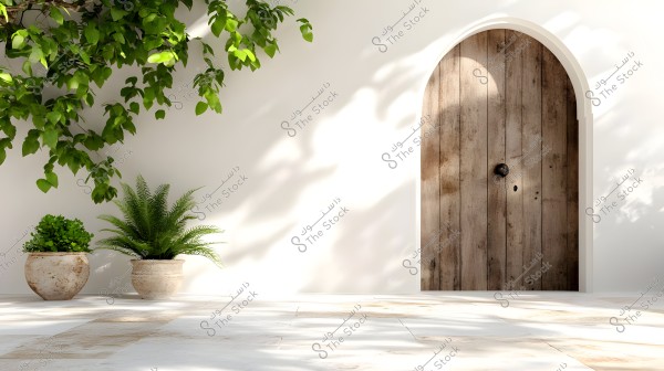 Image of an arched wooden door set in a smooth white wall. To the left, there are two plants in white ceramic pots. Branches with green leaves hang from above, casting shadows on the wall and the light beige tiled floor, creating a serene and natural atmosphere.