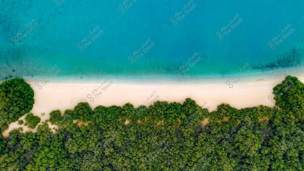 The image shows an aerial view of a beach where turquoise blue sea meets white sand. The beach separates the sea from a dense green forest that fills the bottom part of the image.