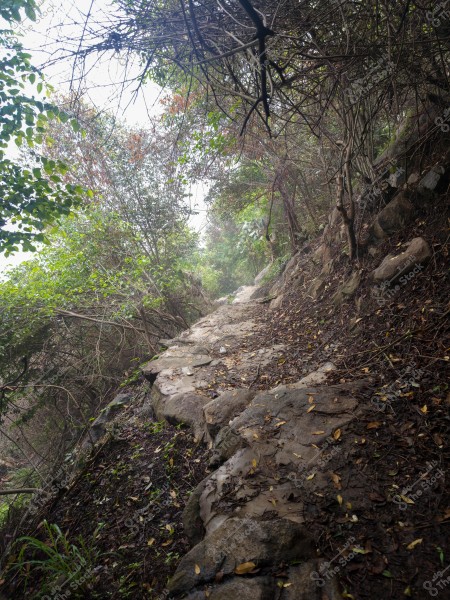 A narrow pathway surrounded by dense trees and vegetation in a forest. The path is covered with stones and fallen leaves, sloping slightly upwards, indicating a natural trail that could be used for outdoor walking.